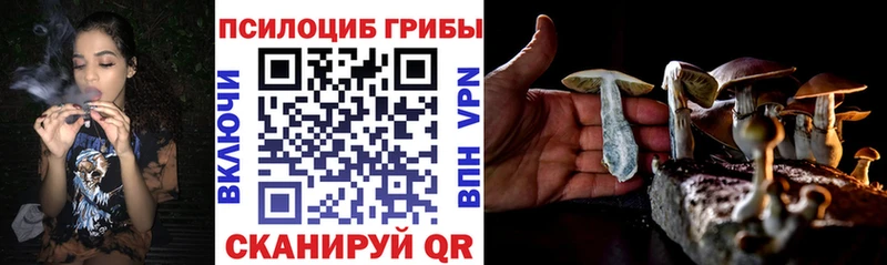 купить  сайты  Дегтярск  Галлюциногенные грибы MAGIC MUSHROOMS 